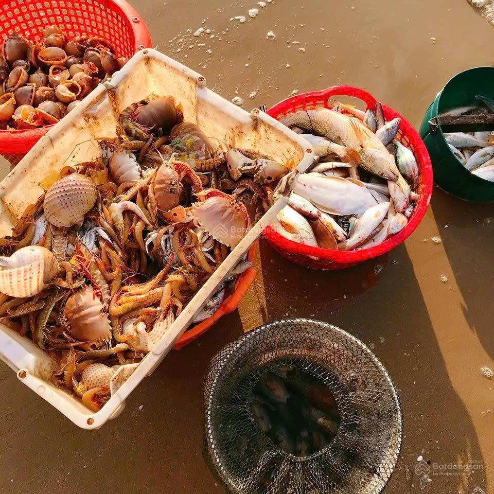 Chính chủ gửi bán nổi bật một cặp nền cực đẹp, đất full thổ cư đã mua cách đây 15 năm về trước.