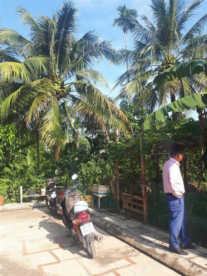 Bán đất phường thới an  quận 12  hồ chí minh