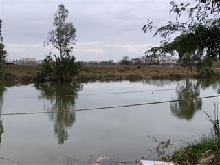 View sông trực diện. view đồng k sạn cao tầng. cách phố cổ 700m. mát mẻ. làm villa đón đầu du lịch