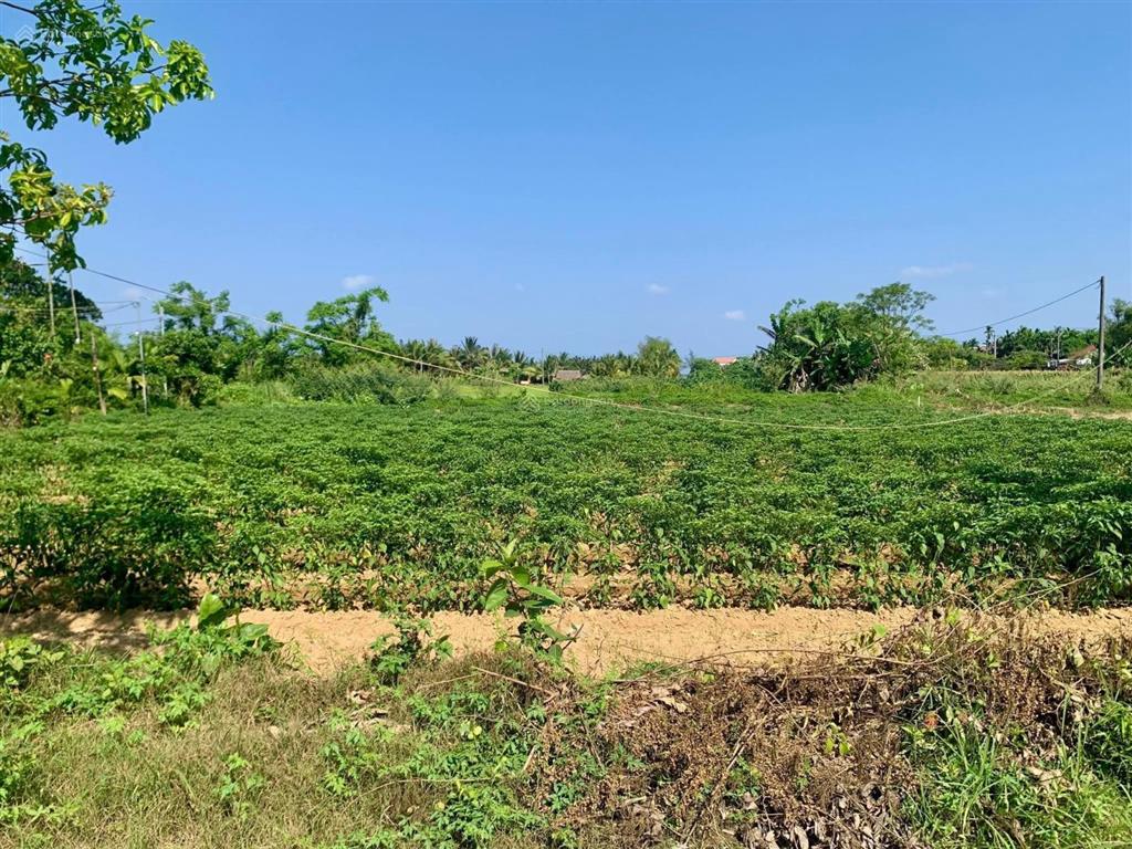 111m2 ngang 5m nở hậu 5.8m. view đồng mát mẻ. gần kdl làng mộc kim bồng