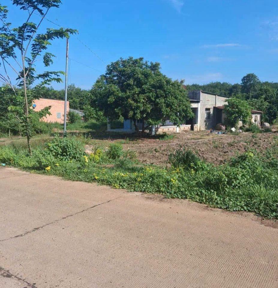 TÔI BÁN GẤP LÔ ĐẤT 20X55=1100M2 SÁT KCN