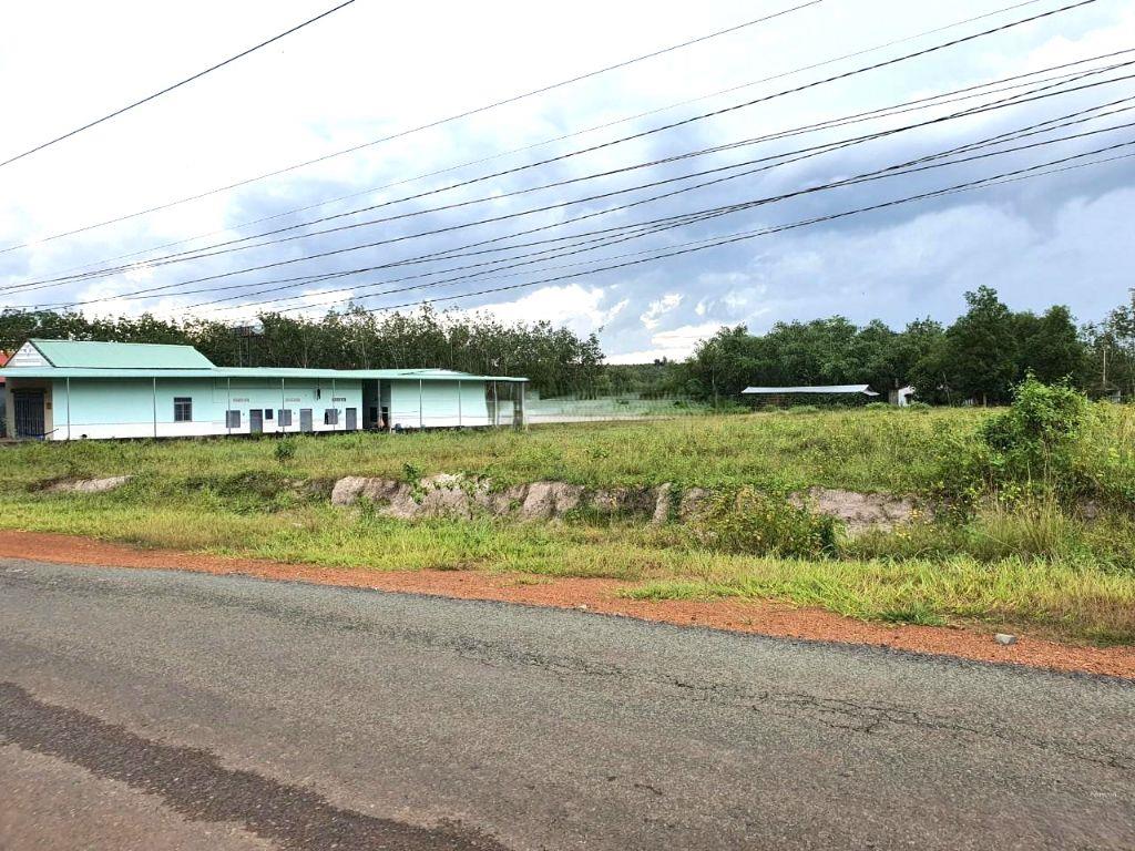 Bán 2 sào đất, 2000m² sổ hồng riêng gần tỉnh lộ giá rẻ