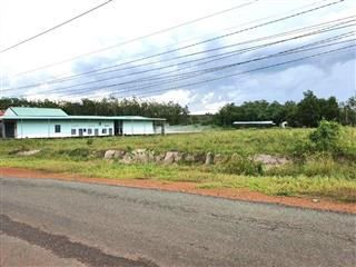 Bán 2 sào đất, 2000m² sổ hồng riêng gần tỉnh lộ giá rẻ