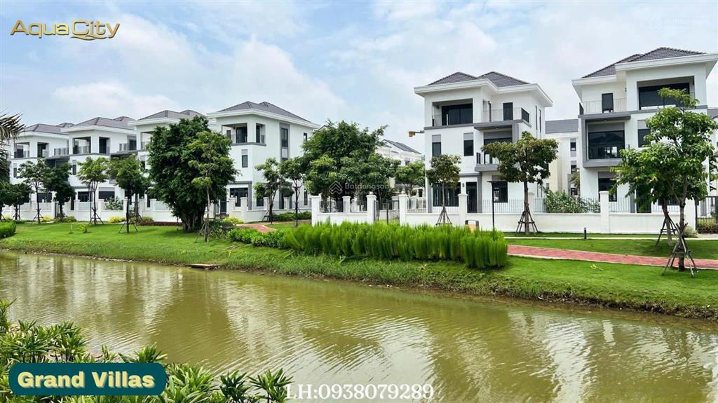 Tổng giỏ hàng aqua city tháng 01/2026 nhà phố từ 6 tỷ  song lập từ 11 tỷ  đơn lập từ 18 tỷ