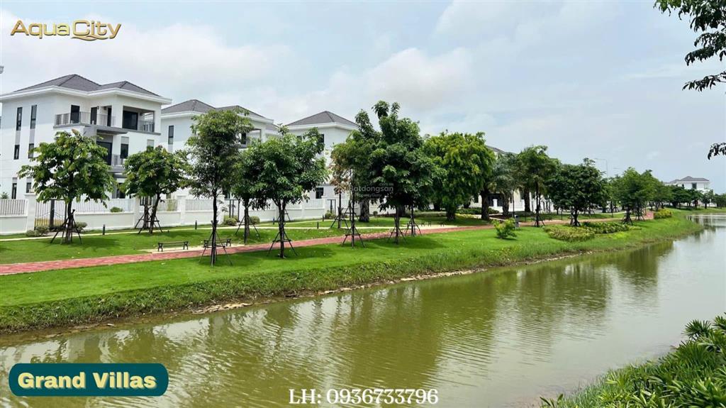 Tổng giỏ hàng aqua city tháng 01/2026 nhà phố từ 6 tỷ  song lập từ 11 tỷ  đơn lập từ 18 tỷ