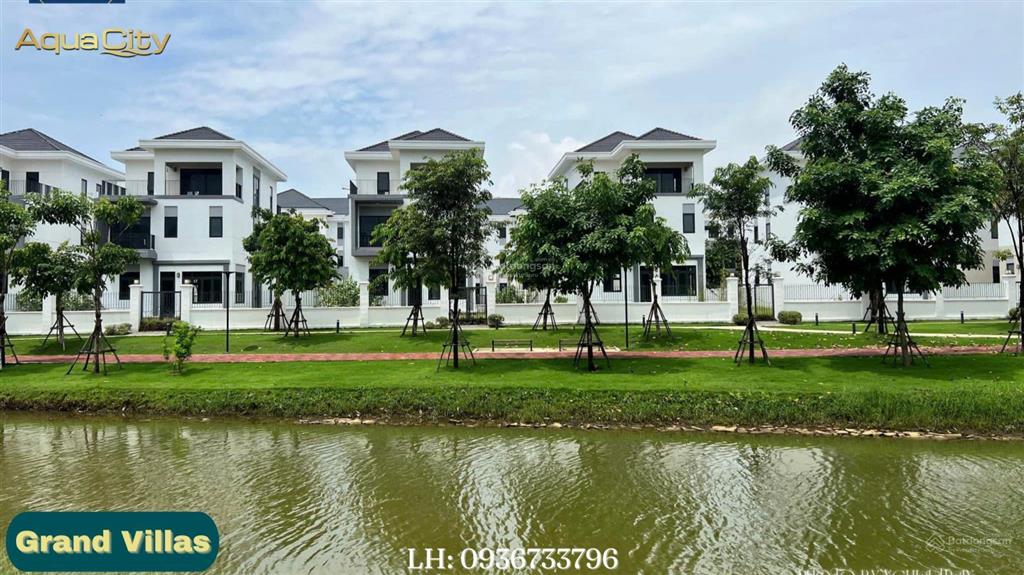 Tổng giỏ hàng aqua city tháng 01/2026 nhà phố từ 6 tỷ  song lập từ 11 tỷ  đơn lập từ 18 tỷ
