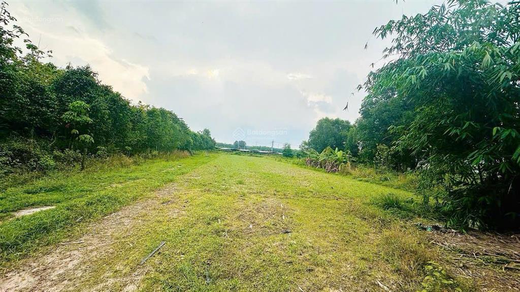 Đất vườn 5000m² 2 sổ riêng chính chủ  an nhơn tây củ chi  6,2 tỷ tl