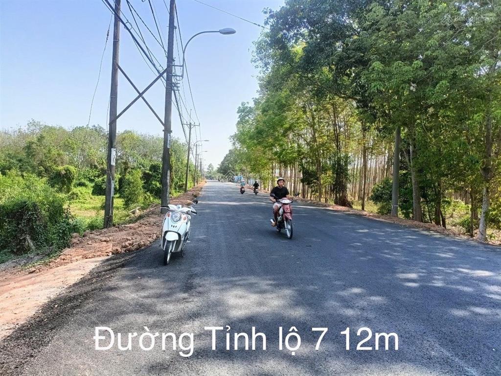 Đất vườn 5000m² 2 sổ riêng chính chủ  an nhơn tây củ chi  6,2 tỷ tl