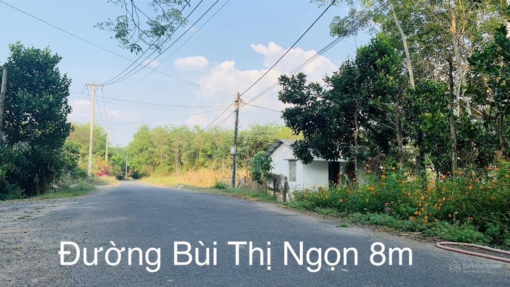Đất vườn 5000m² 2 sổ riêng chính chủ  an nhơn tây củ chi  6,2 tỷ tl