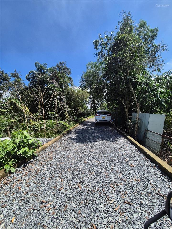 Bán 5304m², ngang 66m dài 80m vuông vức, đất cây lâu năm, view sông bà hồng cực đẹp