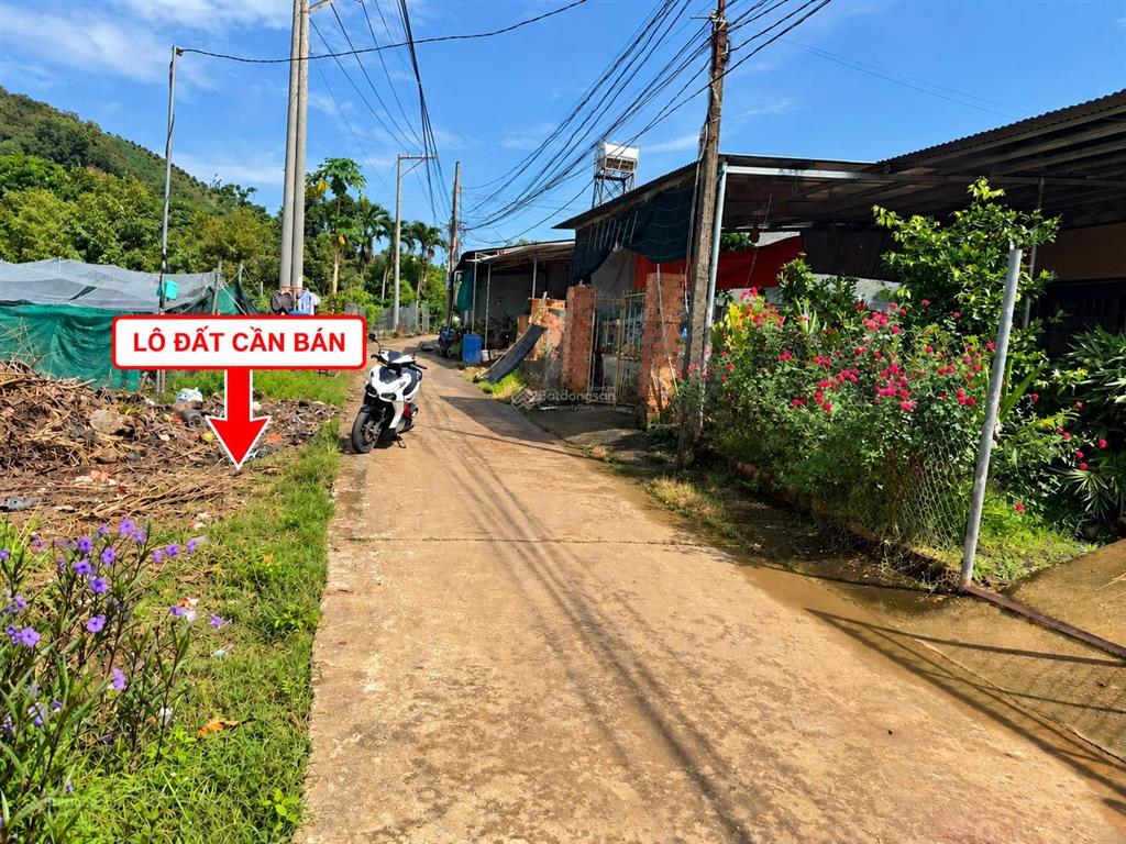 Bán đất tân phú đồng nai | 554,4m2 | 100m2 thổ cư | 2,1 tỷ