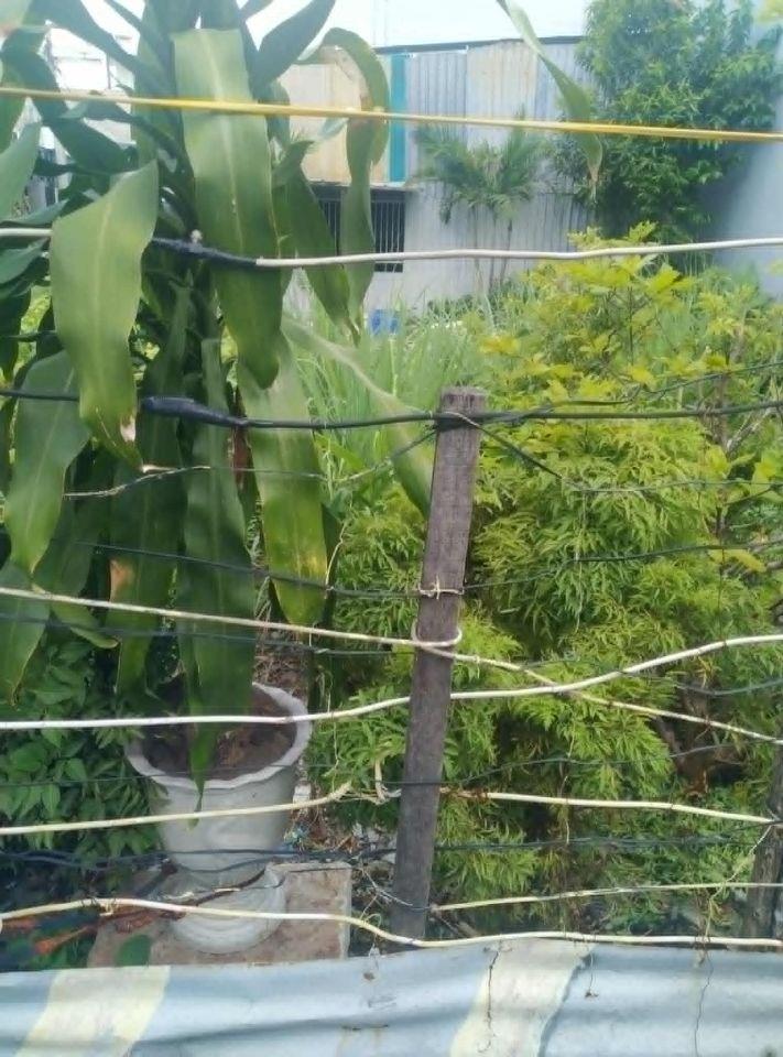 Bán Lô Đất  DT 12 x 20, Sổ Riêng thổ cư 100%, khu cư Xá Phúc Hải, Phường Tân Phong
