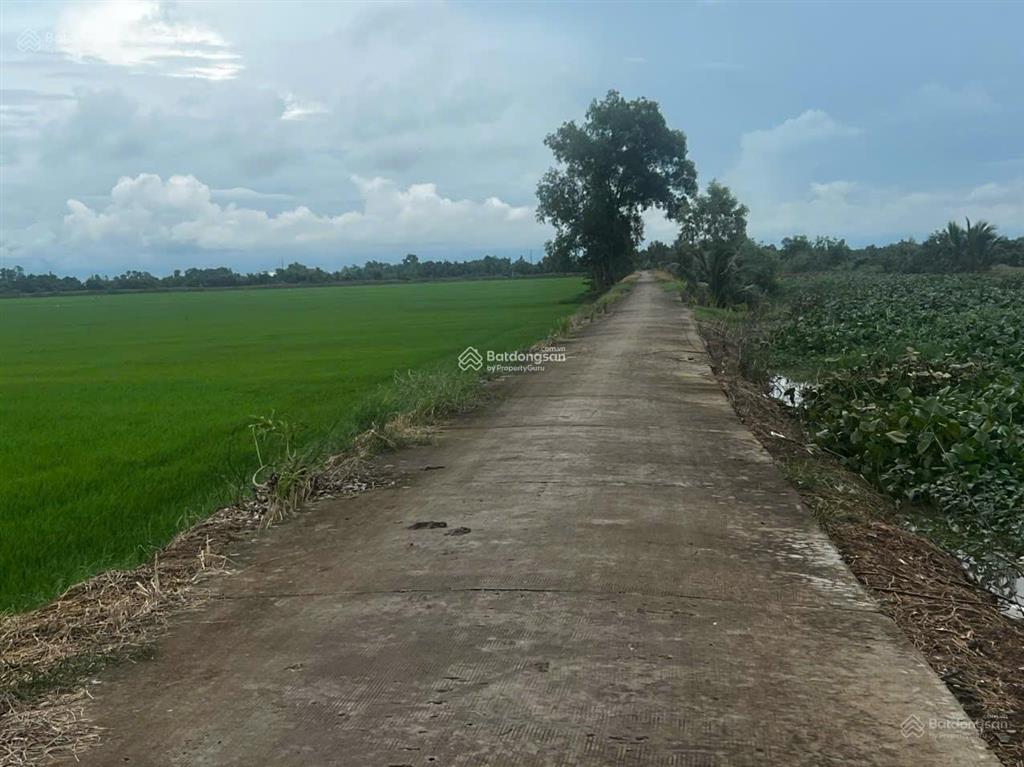 Bán đất 2862m2, 9,8 tỷ tại phường kiến tường, tây ninh, cách trung tâm kiến tường 10 phút đi xe