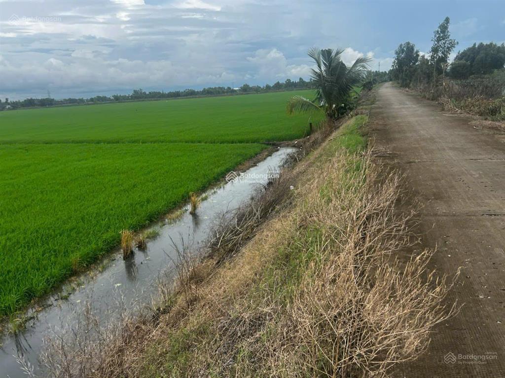Bán đất 2862m2, 9,8 tỷ tại phường kiến tường, tây ninh, cách trung tâm kiến tường 10 phút đi xe
