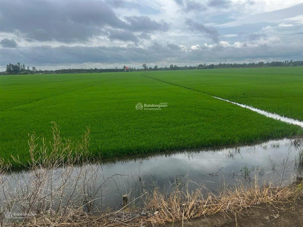 Bán đất 2862m2, 9,8 tỷ tại phường kiến tường, tây ninh, cách trung tâm kiến tường 10 phút đi xe