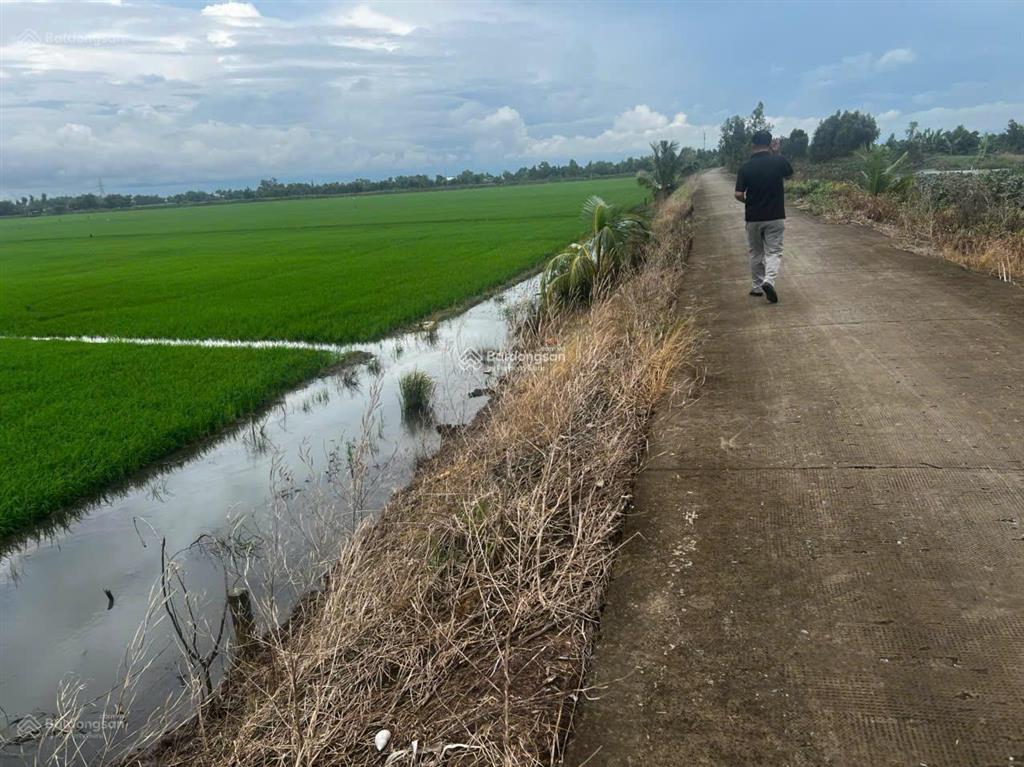 Bán đất 2862m2, 9,8 tỷ tại phường kiến tường, tây ninh, cách trung tâm kiến tường 10 phút đi xe