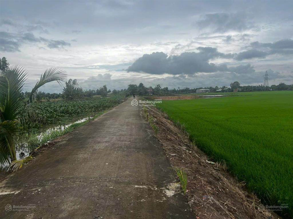 Bán đất 2862m2, 9,8 tỷ tại phường kiến tường, tây ninh, cách trung tâm kiến tường 10 phút đi xe