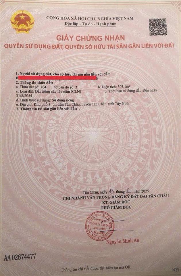 Bán đất tại thị trấn tân châu, 1,25 tỷ, 503m2, mặt tiền 10m, pháp lý đầy đủ