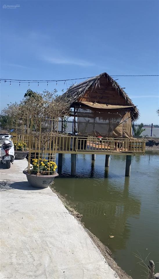 Cần bán căn nhà vườn 1300m2 mặt tiền đường ô tô với mặt tiền sông xoài rạp tại xã an thới đông
