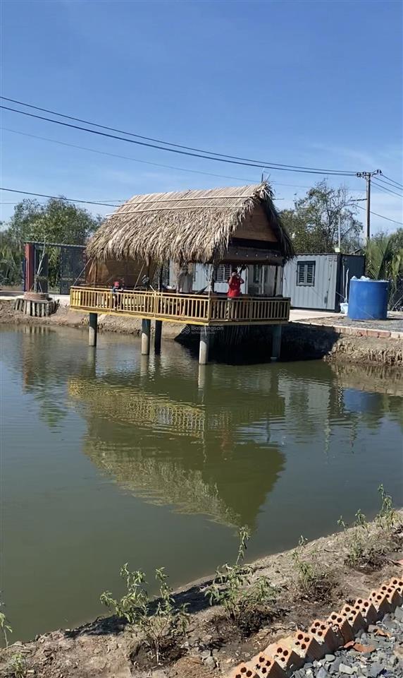 Cần bán căn nhà vườn 1300m2 mặt tiền đường ô tô với mặt tiền sông xoài rạp tại xã an thới đông
