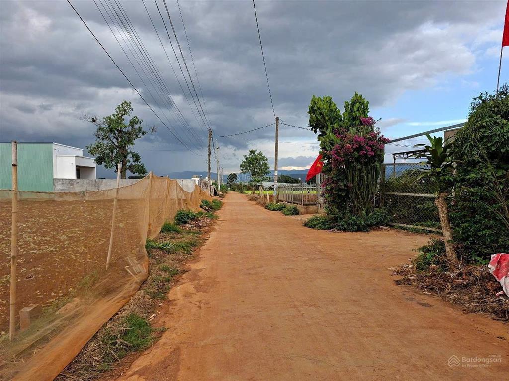 Đất vùng ven đà lạt view đồi thông đẹp mỹ mãn chỉ 700 triệu có sẵn thổ cư