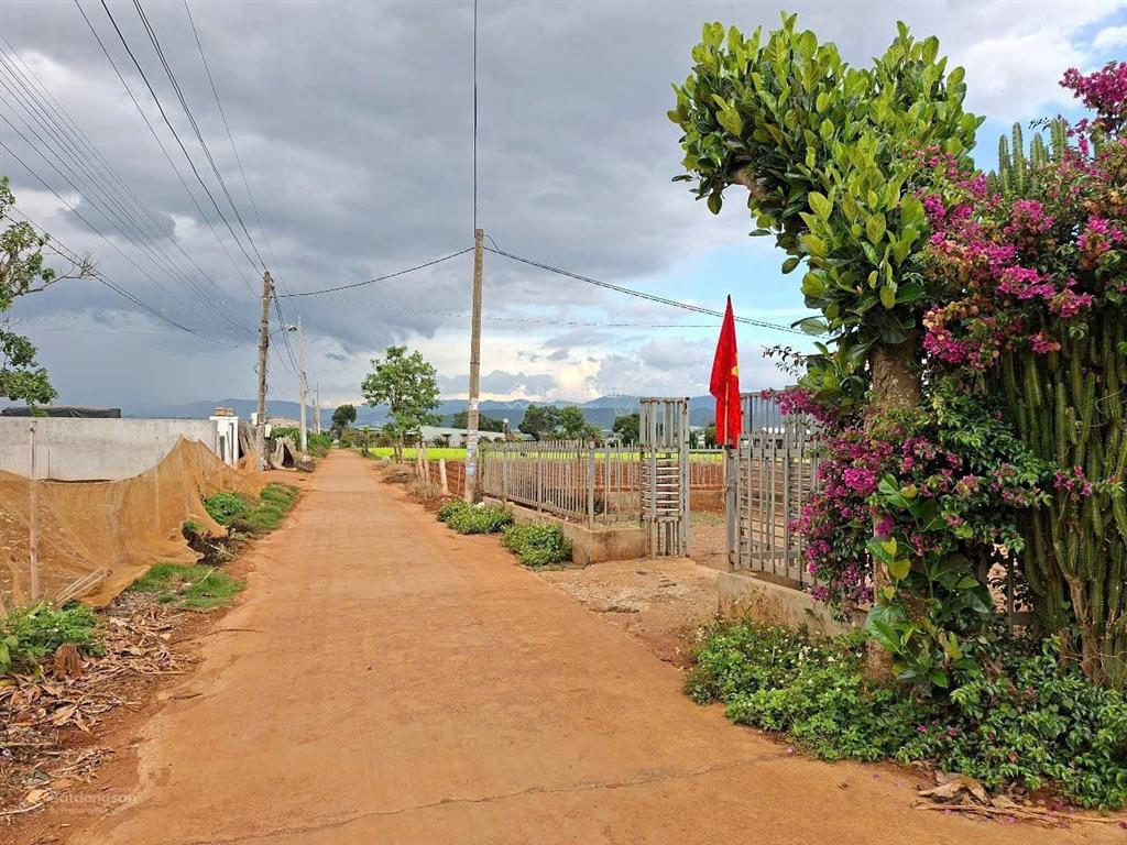 Đất vùng ven đà lạt view đồi thông đẹp mỹ mãn chỉ 700 triệu có sẵn thổ cư