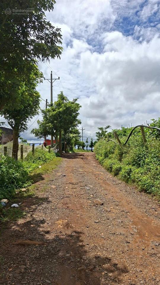 Cần bán 1000m2 đại ninh lâm đồng (11.4m x 82m) nở hậu 13.5m. quy hoạch mở rộng thêm nối ql 20