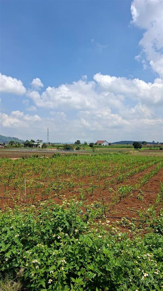 Đất trung tâm xã đức trọng tthc tỉnh lâm đồng  giá đầu tư f0 giá bán 1.4 tỷ!