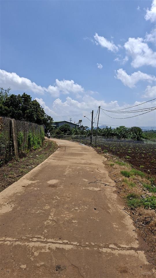 Cần bán lô đất đẹp đức trọng cách ql20 chỉ 300m 146m2 ngang 6m có thổ cư