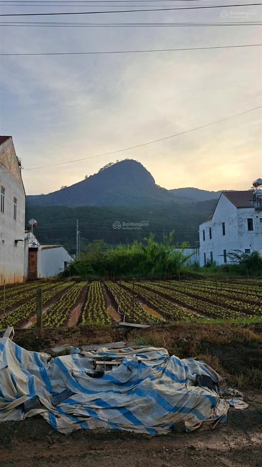Bán đất cách đà lạt 15 phút, full thổ cư view núi voi và hồ lê thứ. 180m2 đường nhựa 6m.