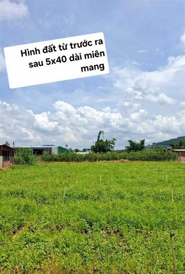 Đất vàng xây trọ/cho thuê giá rẻ bằng 50% trung tâm đức trọng!