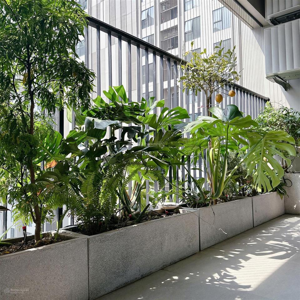 Bán nhanh trong tháng căn hộ 83m2 2 ngủ 2 vệ sinh giá tốt
