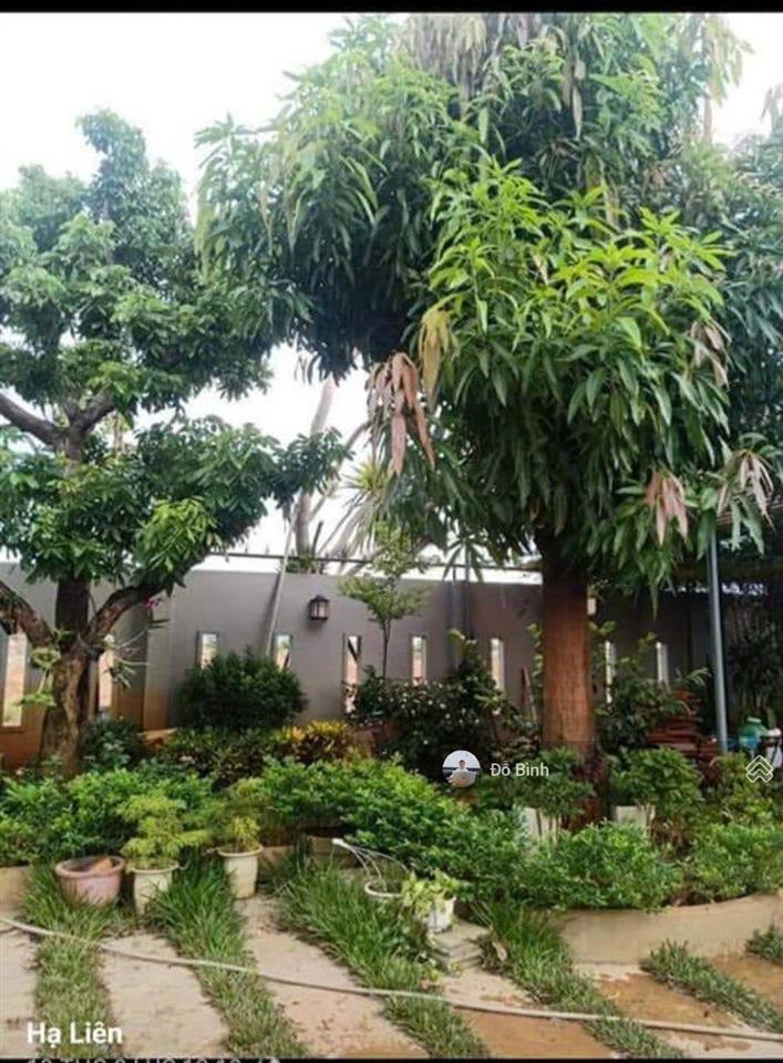 Cho thuê biệt thự sân vườn đường đạm phương  đầy đủ nội thất