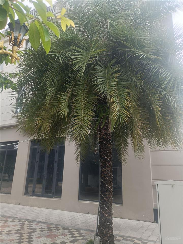 Bán biệt thự kinh đô, kinh doanh, 150m, 16.4tỷ