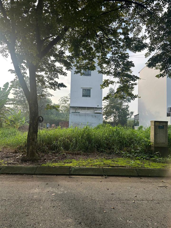 Bán đất khu dự án the star village ngô quang thắm xã hiệp phước tphcm diện tích 115m2 giá 30tr/m2