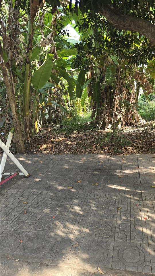 Bán đất hẻm 274 nguyễn văn tạo, xã long thới, huyện nhà bè, tphcm. diện tích 125m². giá 4,68 tỷ.