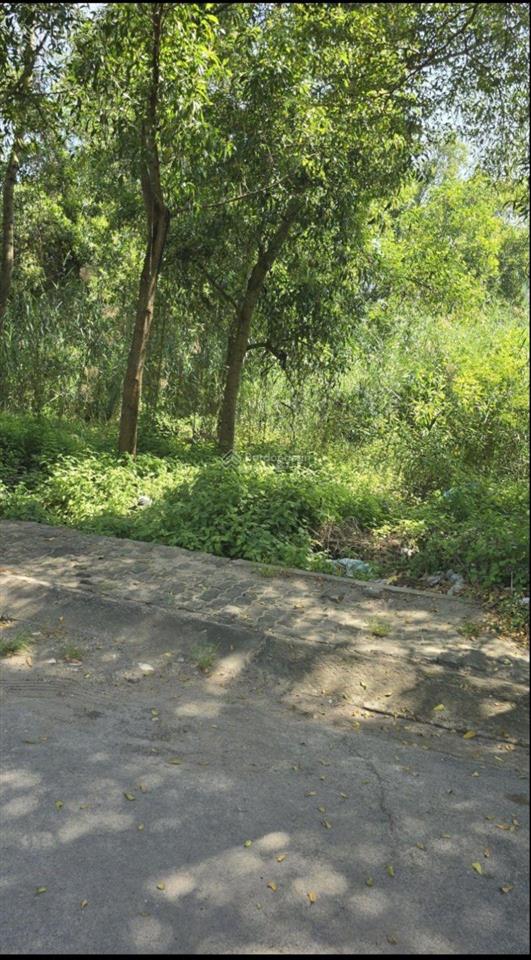 Bán nhà trệt lửng hẻm 154 nguyễn văn tạo xã long thới huyện nhà bè tphcm diện tích 100m2 giá 5,4 tỷ