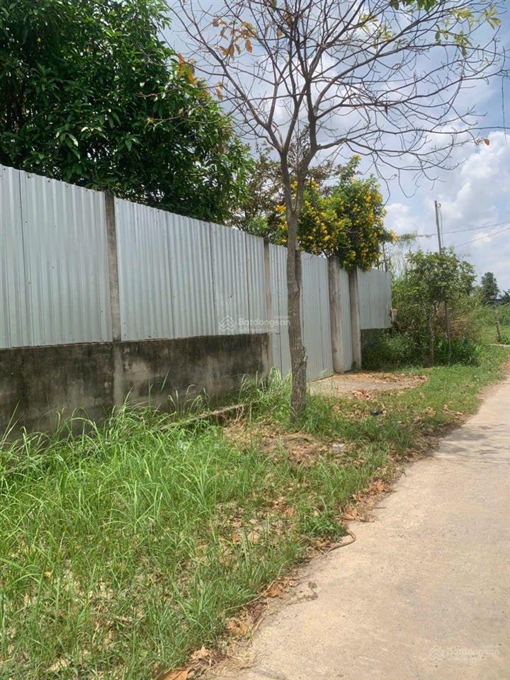 Bán đất đường xương cá 2  long thới, nhà bè tphcm diện tích 1120m2 giá 10,5 tỷ