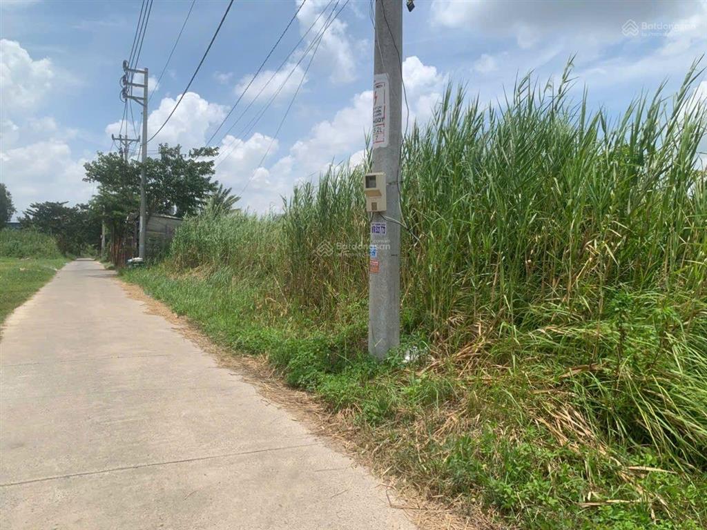 Bán đất đường xương cá 2  long thới, nhà bè tphcm diện tích 1120m2 giá 10,5 tỷ