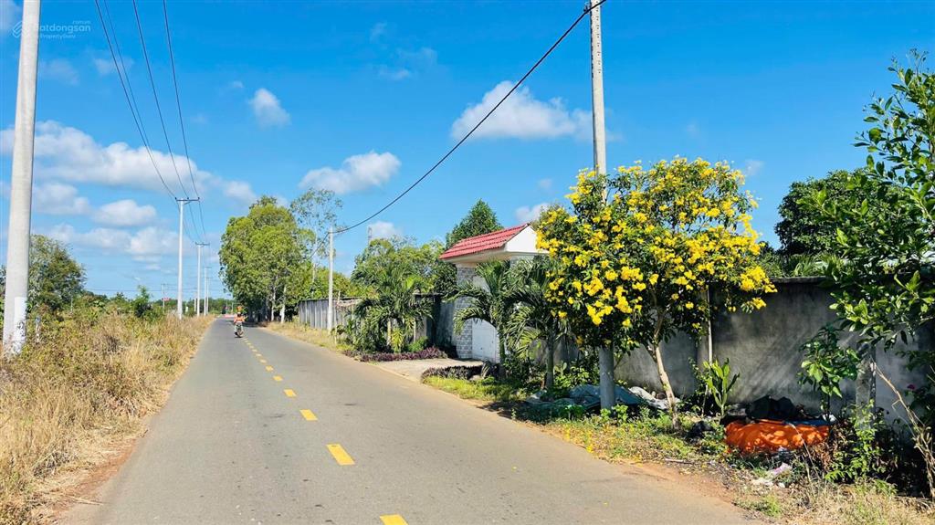 Bán đất xã đất đỏ hồ chí minh ( thị trấn đất đỏ bà rịa vũng tàu cũ)