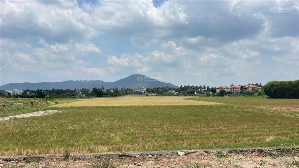 Bán đất phường tam long thành phố hồ chí minh ( thành phố bà rịa vũng tàu cũ)