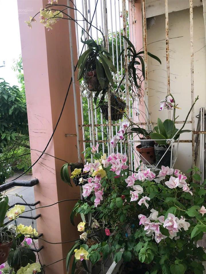 Bán nhà 3 lầu phường 10 thành phố vũng tàu bà rịa vũng tàu