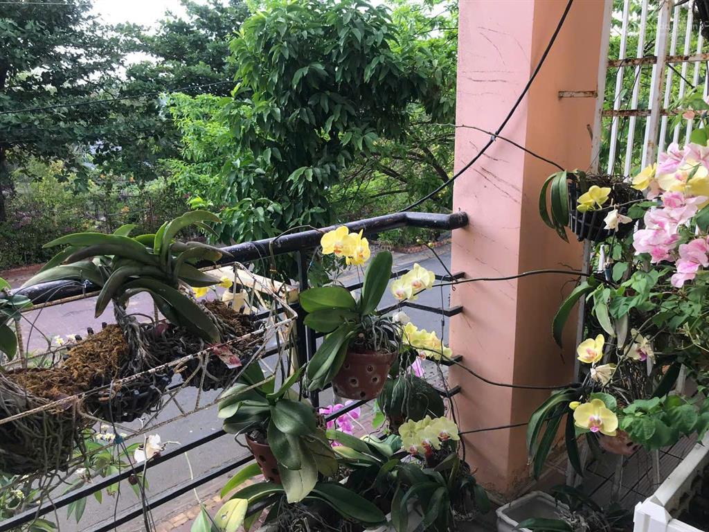 Bán nhà 3 lầu phường 10 thành phố vũng tàu bà rịa vũng tàu