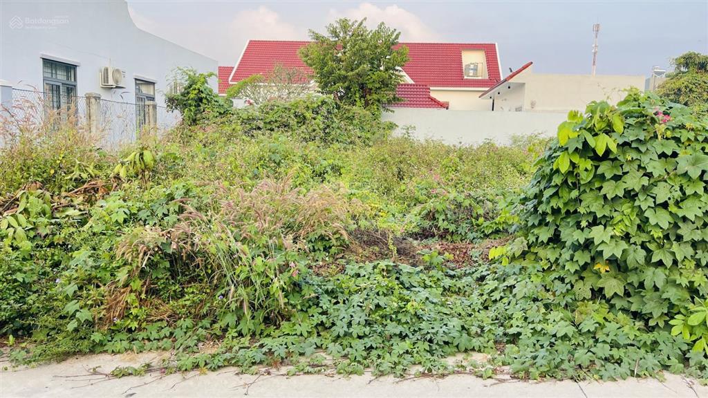 Bán đất hòa long thành phố bà rịa vũng tàu