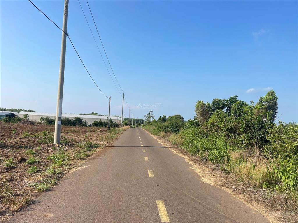 Bán đất phước long thọ đất đỏ bả rịa vũng tàu