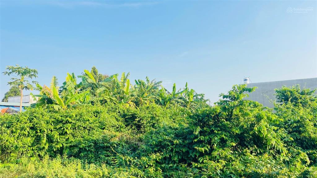 Bán đất hòa long bà rịa vũng tàu