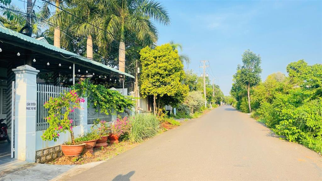Bán đất hòa long bà rịa vũng tàu