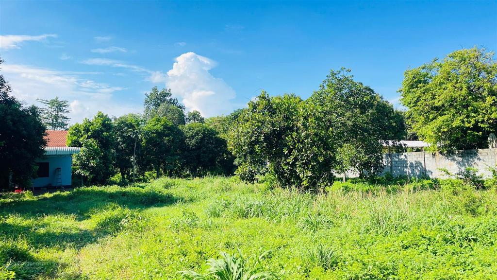 Bán đất hòa long bà rịa vũng tàu