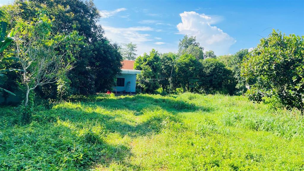 Bán đất hòa long bà rịa vũng tàu