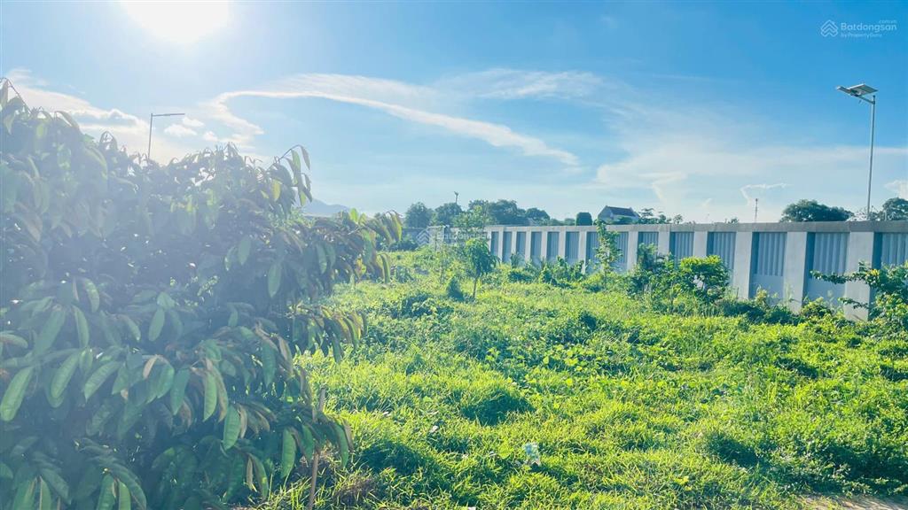Bán đất hòa long bà rịa vũng tàu